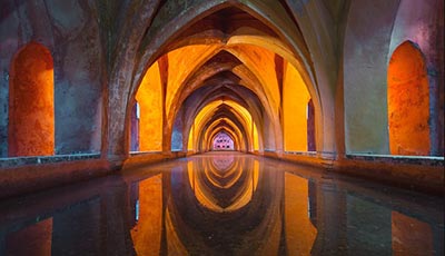 如何进行市场调查：你真正需要知道的